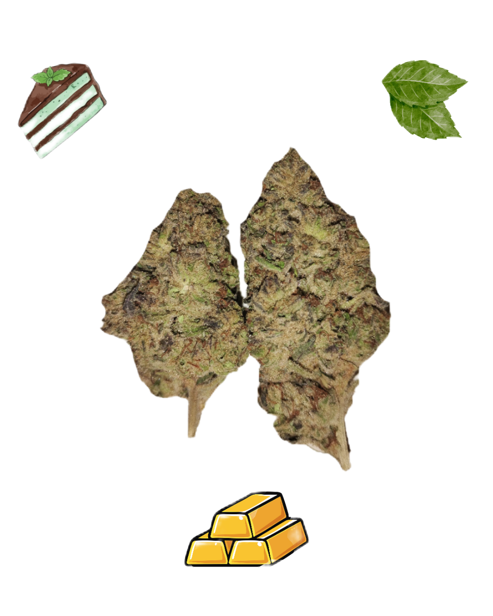 *NEW*Mint Tao-Gold Tier-THCa(Hybrid) / 1g